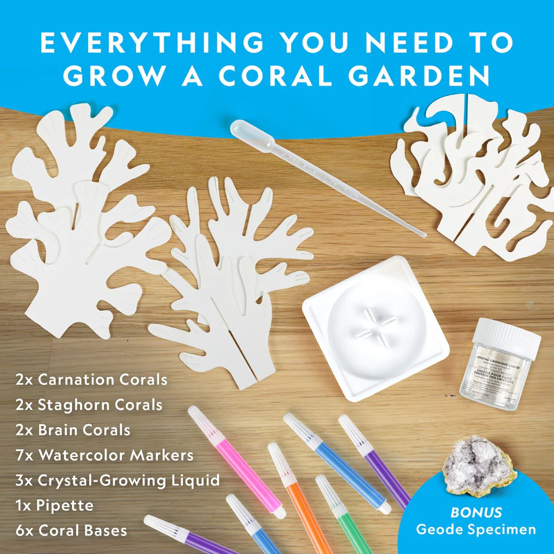 be-hoa-nha-khoa-hoc-voi-bo-san-ho-tinh-the-nat-geo-1